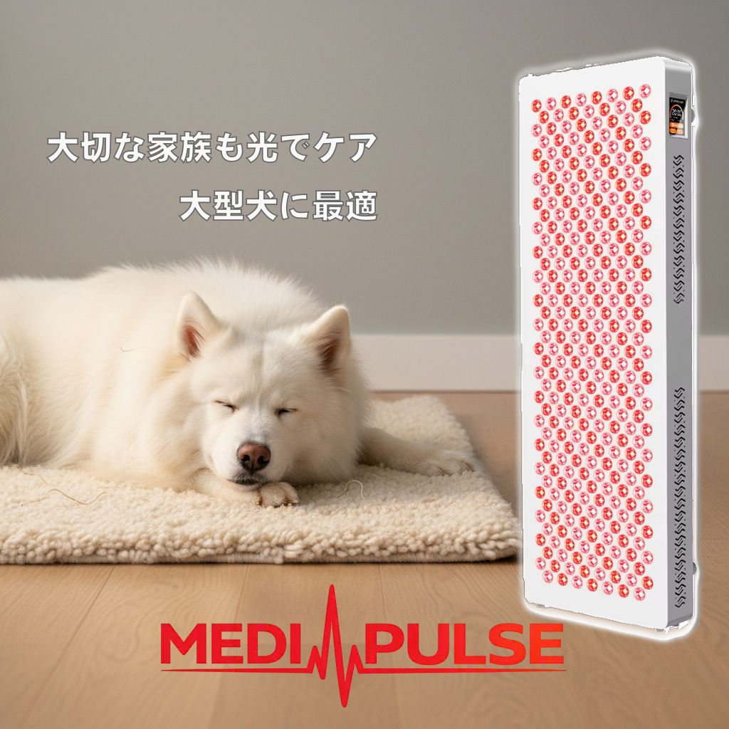 MEDI PULSE300｜赤色LEDフォトセラピーパネル